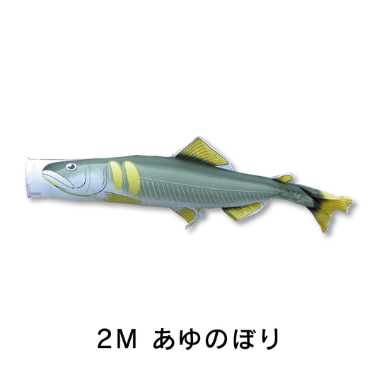 あゆのぼり　のぼり水族館