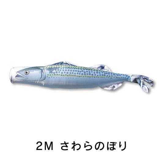 さわらのぼり　のぼり水族館