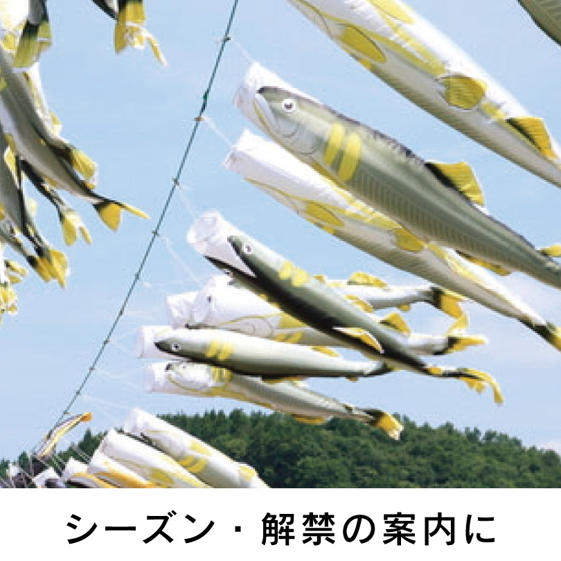 あゆのぼり　のぼり水族館