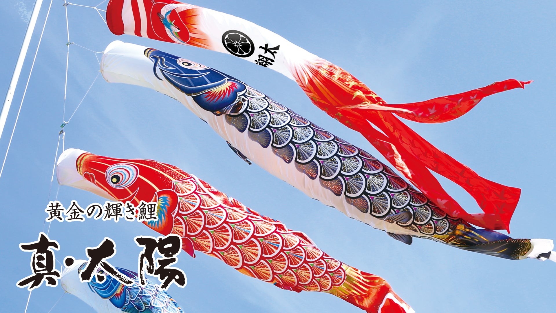 動画を読み込む: 黄金の輝き　真・太陽