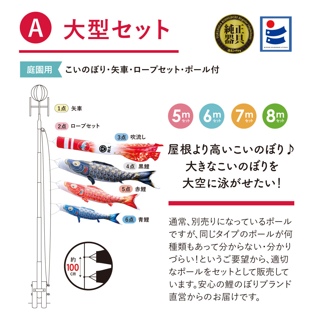 黄金の輝き鯉 真・太陽 大型セット – 晴れと暮らす