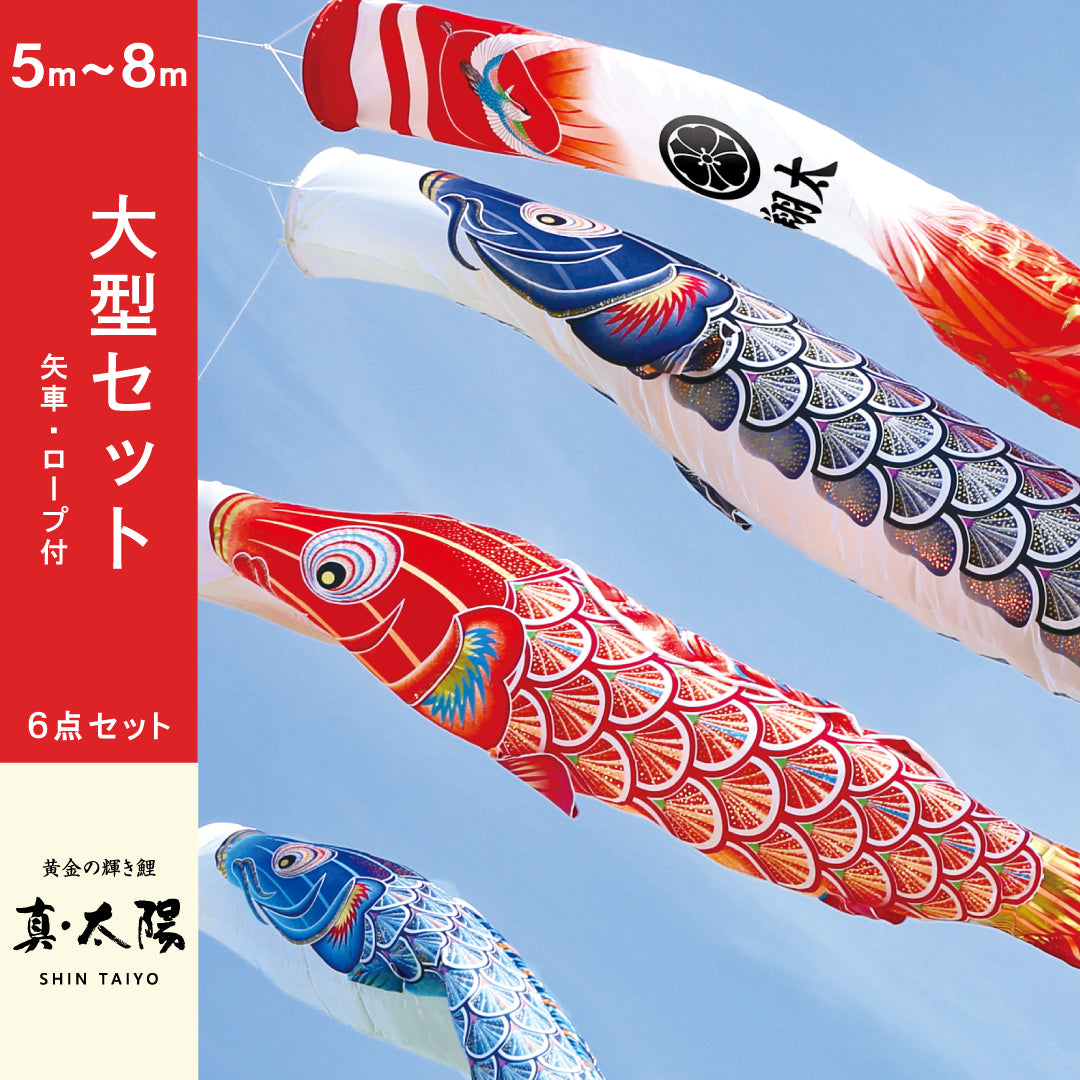 黄金の輝き鯉　真・太陽　大型セット