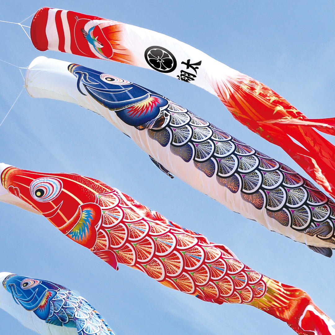 黄金の輝き鯉【真・太陽】プレミアムベランダスタンドセット