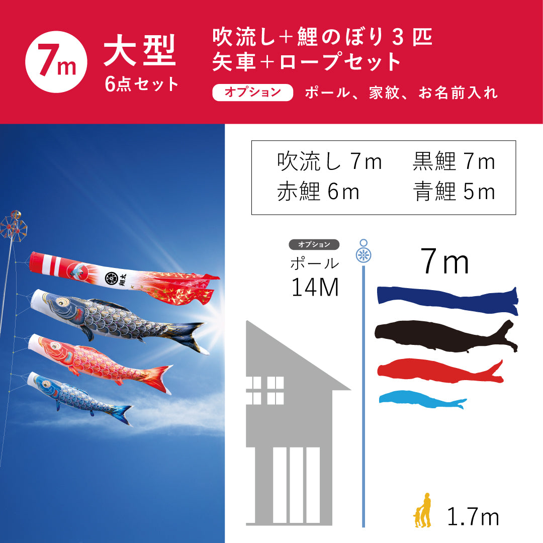 黄金の輝き鯉　真・太陽　大型セット