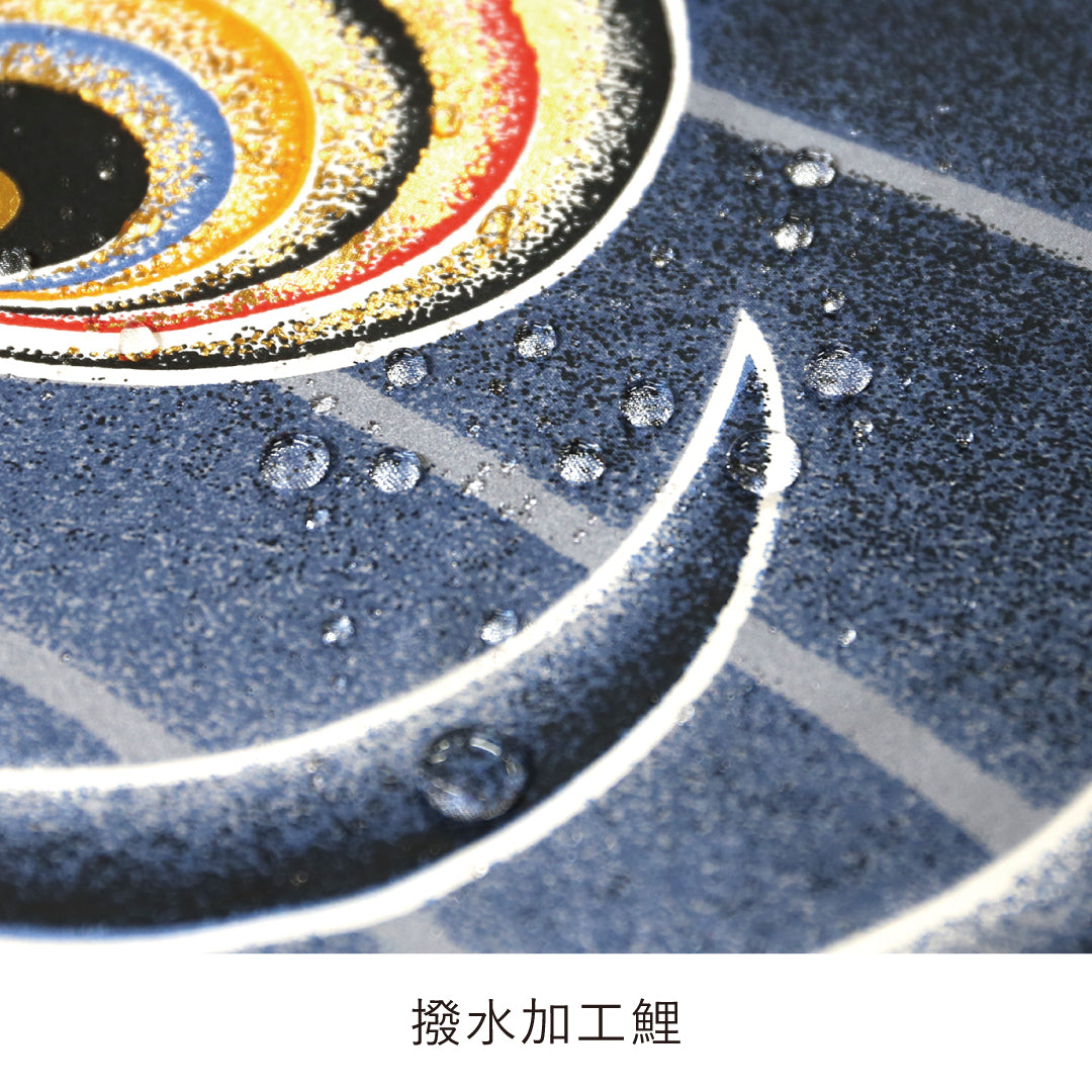黄金の輝き鯉 真・太陽 大型セット – 晴れと暮らす