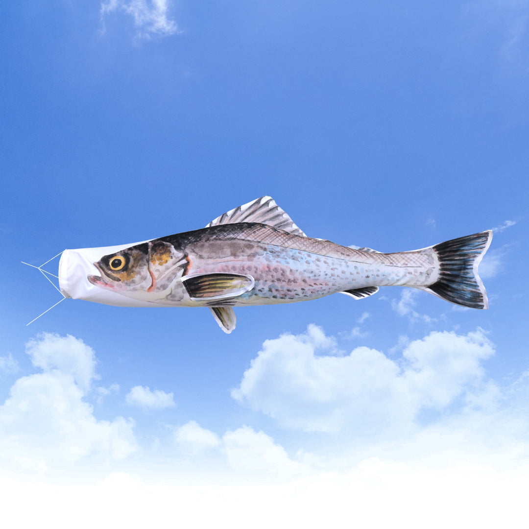 2ｍ　スズキのぼり　のぼり水族館