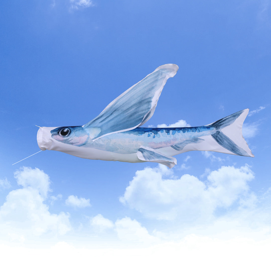 1.5ｍ　トビウオのぼり　のぼり水族館