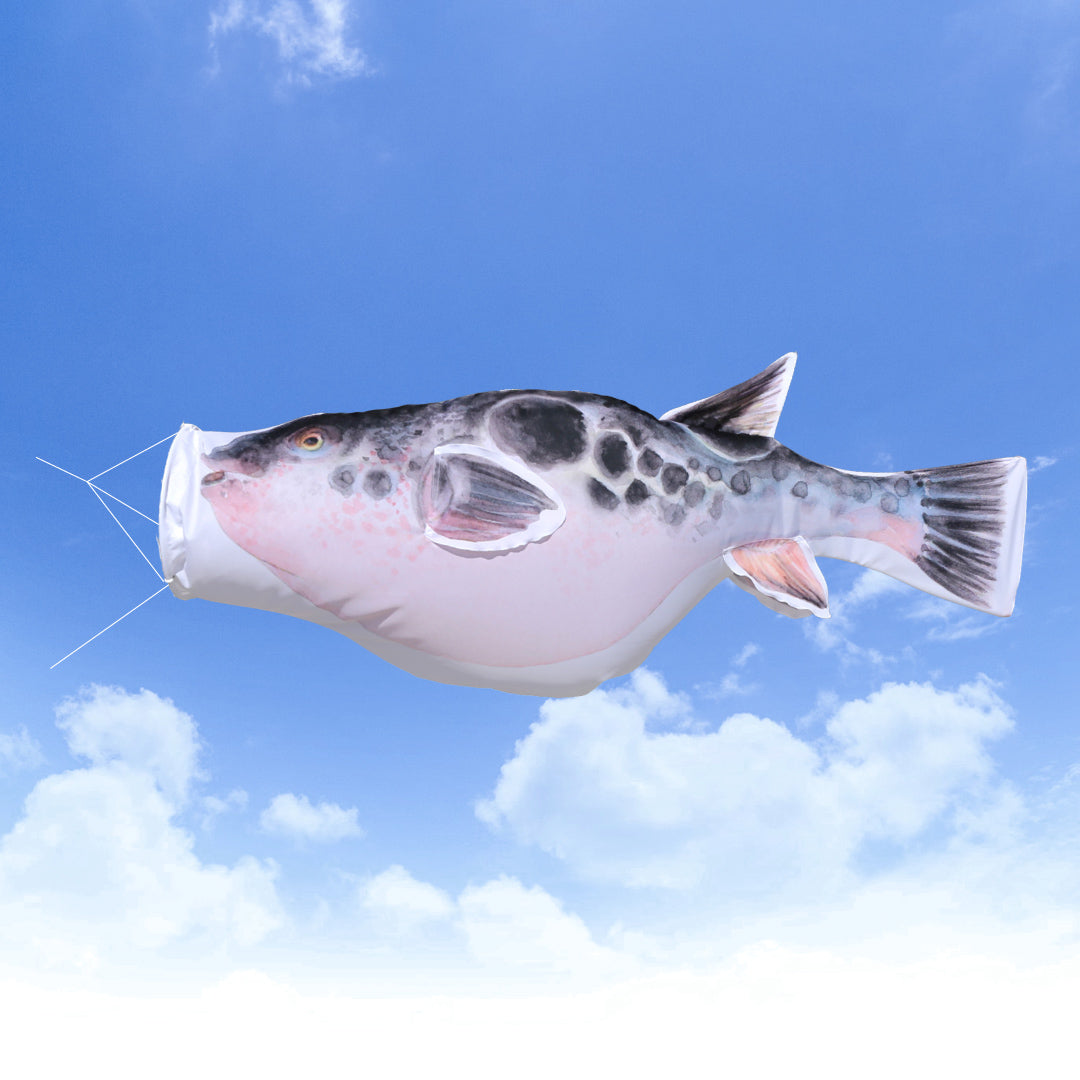 1.5ｍ　トラフグのぼり　のぼり水族館