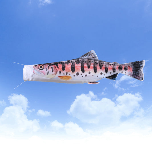 2ｍ　ヤマメのぼり　のぼり水族館