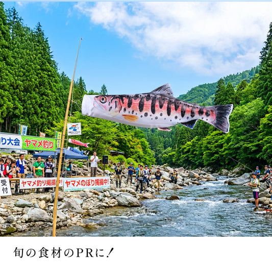 2ｍ　ヤマメのぼり　のぼり水族館
