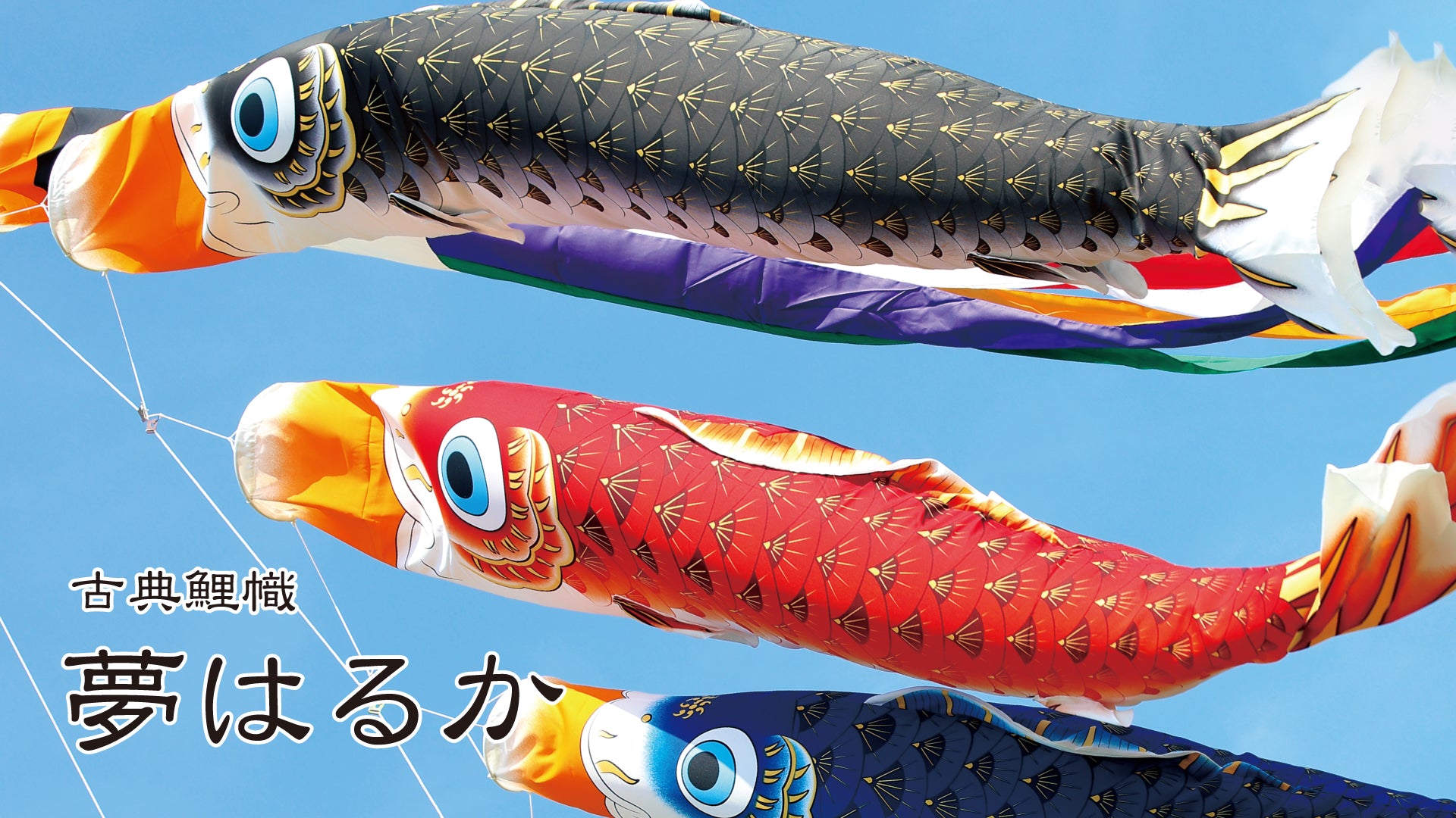 夢はるか】鯉のぼり – 晴れと暮らす