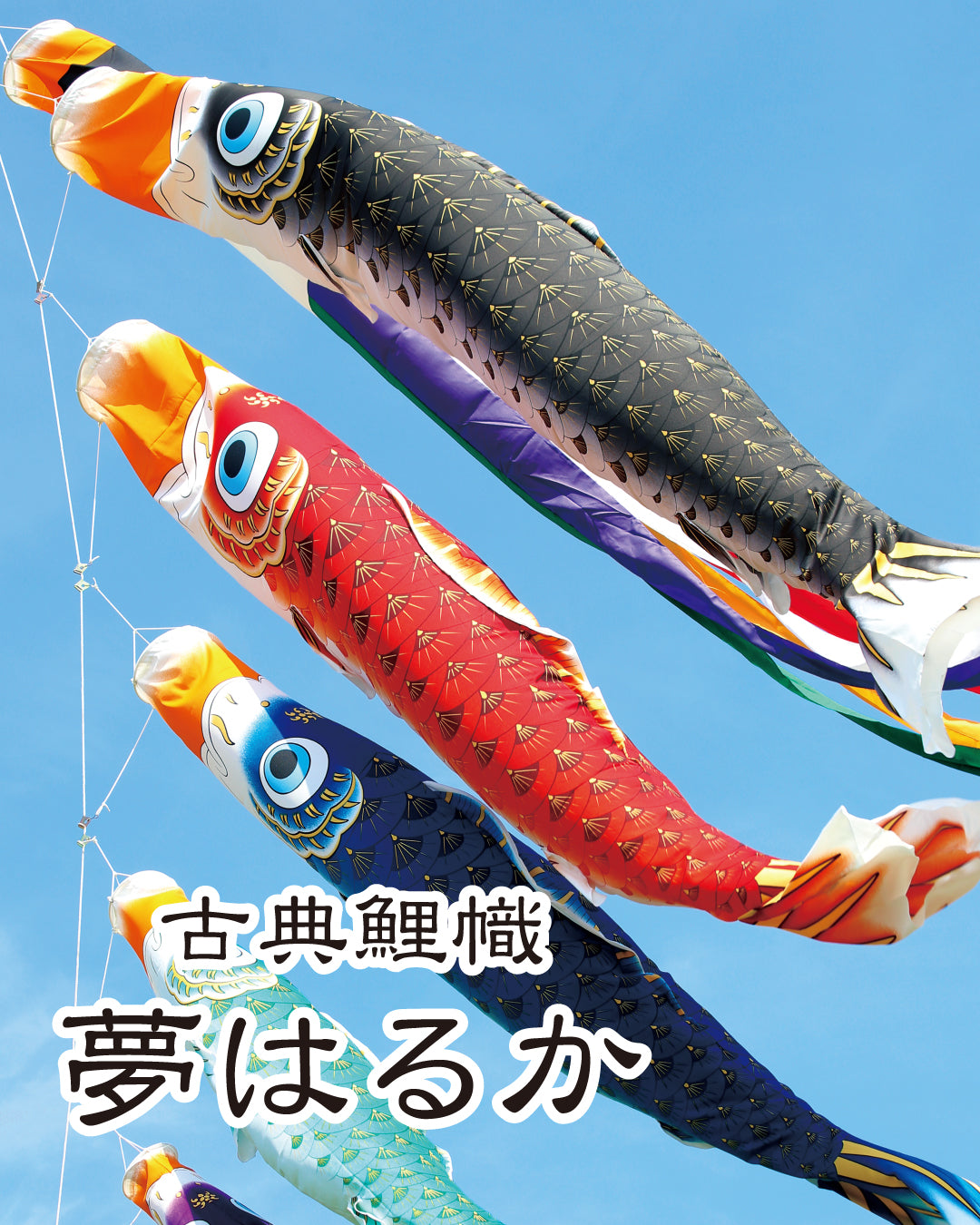 古典鯉幟　夢はるか