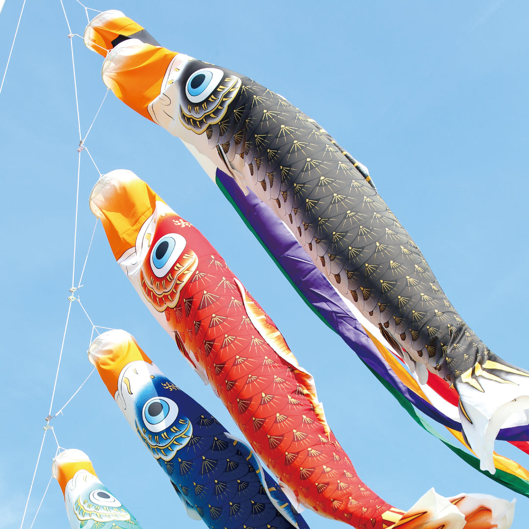 Gold-colored Crescent Moon Carp [Gou] 6-piece large set – 晴れと暮らす