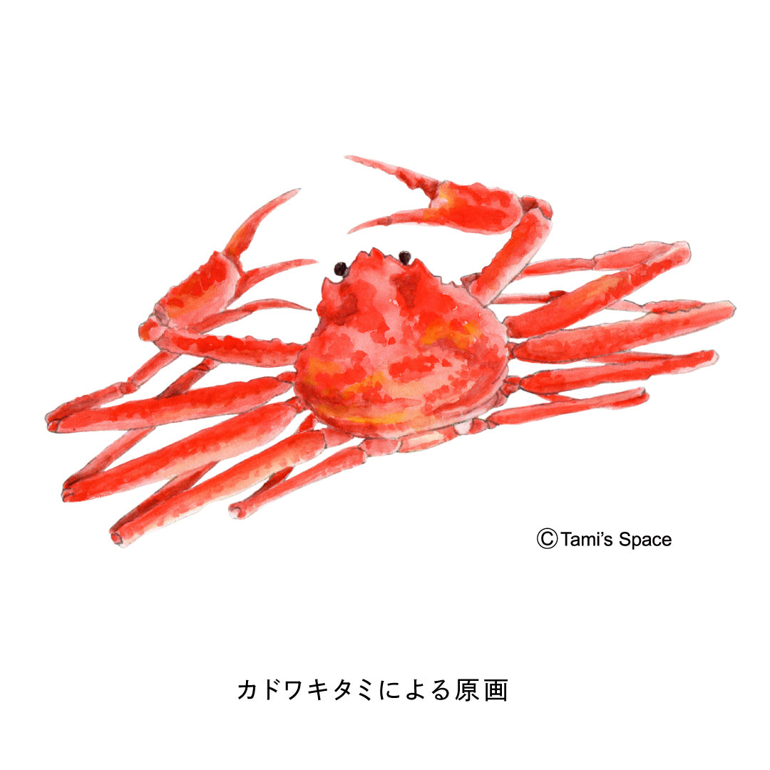 1.5ｍ　ベニズワイガニのぼり　のぼり水族館